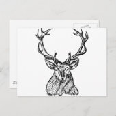 Deer Briefkaart (Voorkant / Achterkant)