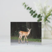 Deer Briefkaart (Staand voorkant)