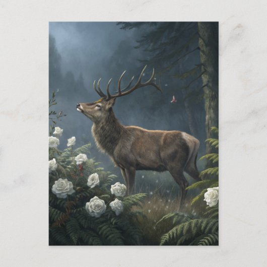 Deer Briefkaart (Voorkant)
