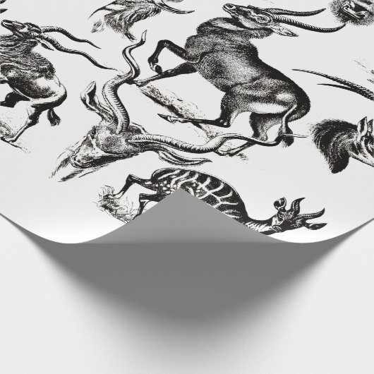 Deer Buck Antelope Animals wildlife Illustrations Cadeaupapier (Hoek)