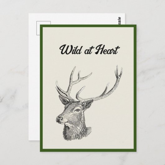 Deer Buck Head met gewei zwart-wit kunst Briefkaart (Voorkant / Achterkant)