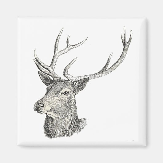Deer Buck Head met gewei zwart-wit kunst Magneet (Voorkant)