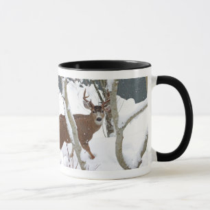 Deer Buck in Snow Mok