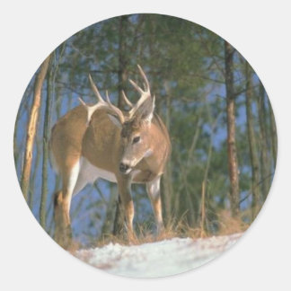 Deer Buck Ronde Sticker