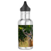 Deer Buck Waterfles (Links)
