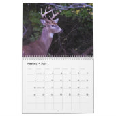 Deer Calendar Kalender (Feb 2026)