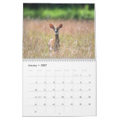 Deer Calendar Kalender (Jan 2027)