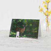 Deer, carte (Fleur jaune)