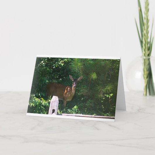 Deer, carte (Devant)