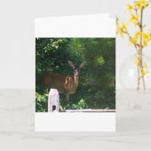 Deer, carte (Fleur jaune)