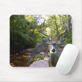 Deer Creek Mousepad 01 Muismat (Met muis)