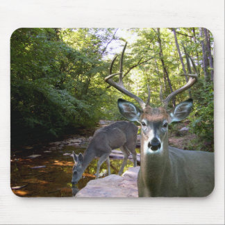 Deer Creek Mousepad 01 Muismat
