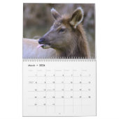 Deer en Elk Wall Calendar 2015 - Wildlife Kalender (Mar 2026)
