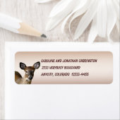 Deer Etiket (Insitu)