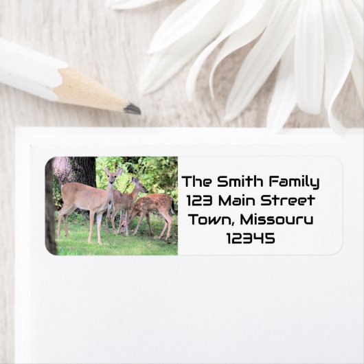 Deer Etiket (Insitu)