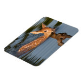 Deer Fawn | Minnesota Magneet (Linkerzijde)