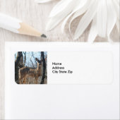 Deer Forest Autumn Etiket (Insitu)