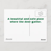 Deer Gathering Briefkaart (Achterkant)