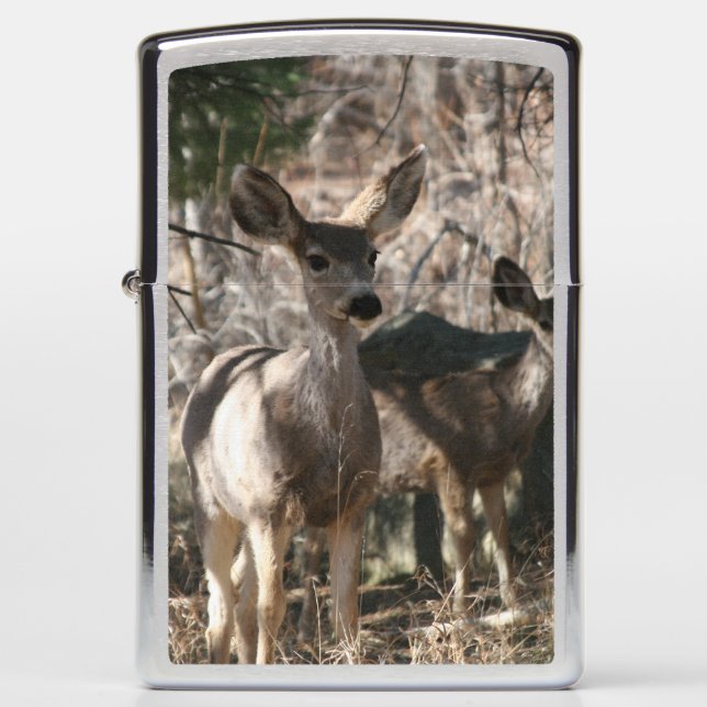 Deer gezegde hallo (Voorkant)