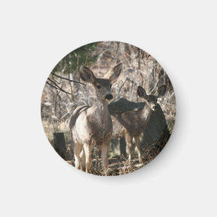 Deer gezegde hallo magneet