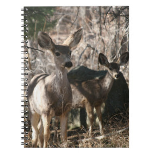 Deer gezegde hallo notitieboek