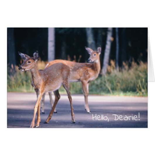 Deer, Hallo Dearie (Voorkant Horizontaal)