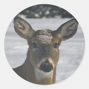 Deer Head Ronde Sticker