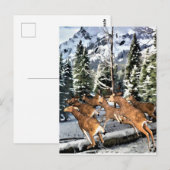 Deer Herd Runing in Rocky Mountains Briefkaart (Voorkant / Achterkant)