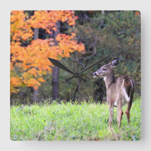 Deer In an Autumn Field Vierkante Klok