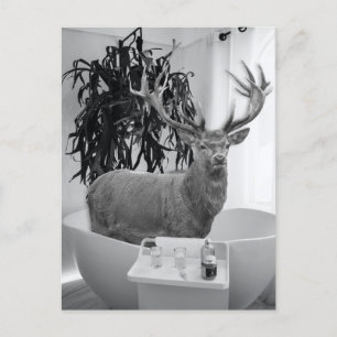 Deer in Bathtub Black White Bathroom art Briefkaart