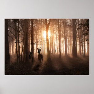 Deer in bossen bij zonsopgang in Norfolk England Poster