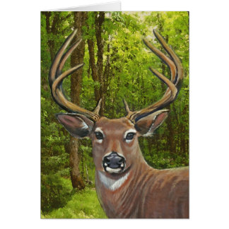 Deer in de Ash Meadow