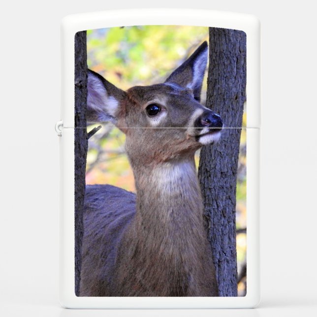 Deer in de Bossen (Voorkant)