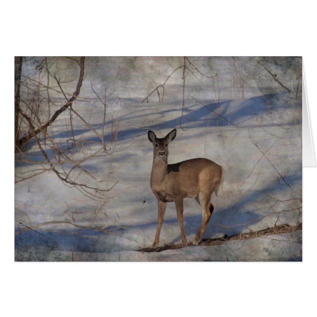 Deer in de sneeuw (Voorkant Horizontaal)