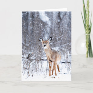Deer in de sneeuw kaart