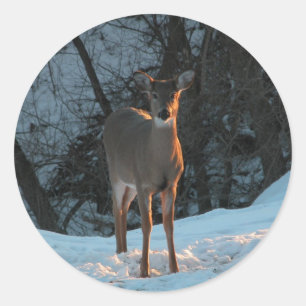 Deer in de sneeuw ronde sticker