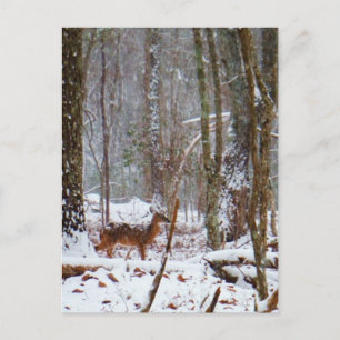 Deer in de sneeuwherfst briefkaart