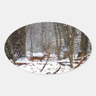 Deer in de sneeuwherfst ovale sticker