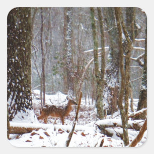 Deer in de sneeuwherfst vierkante sticker