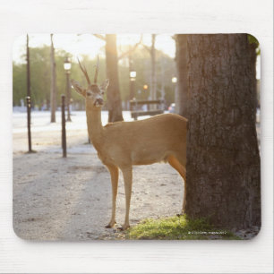 Deer in de stad muismat