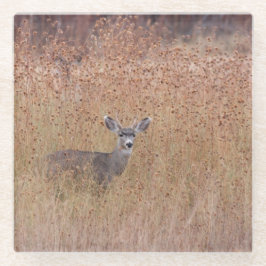 Deer in de weide glazen onderzetter