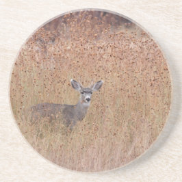 Deer in de weide zandsteen onderzetter