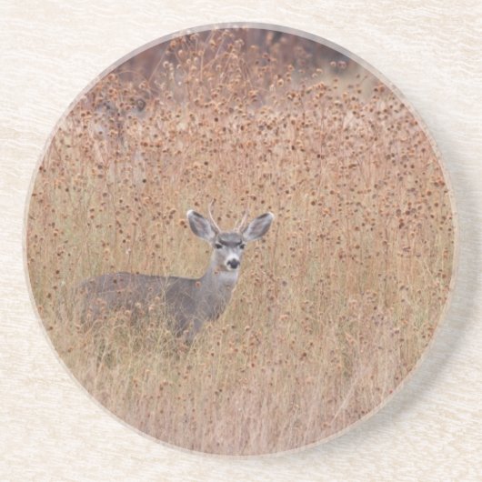 Deer in de weide zandsteen onderzetter (Voorkant)