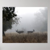 Deer in Fog Poster (Voorkant)