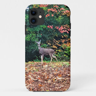 Deer in het bos, Oregon iPhone 11 Hoesje