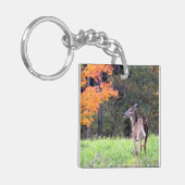 Deer in het veld sleutelhanger (Voorkant Links)