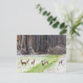 Deer in het voorste Briefkaart (Staand voorkant)