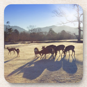 Deer in park in Nara, prefectuur Nara, Japan Onderzetter