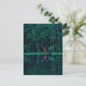 Deer in the Forest Postcard Briefkaart (Staand voorkant)