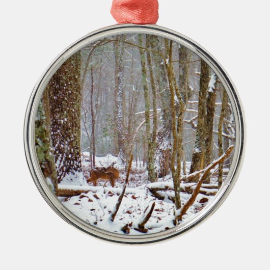 Deer in the snow, licking leg metalen ornament (Voorkant)